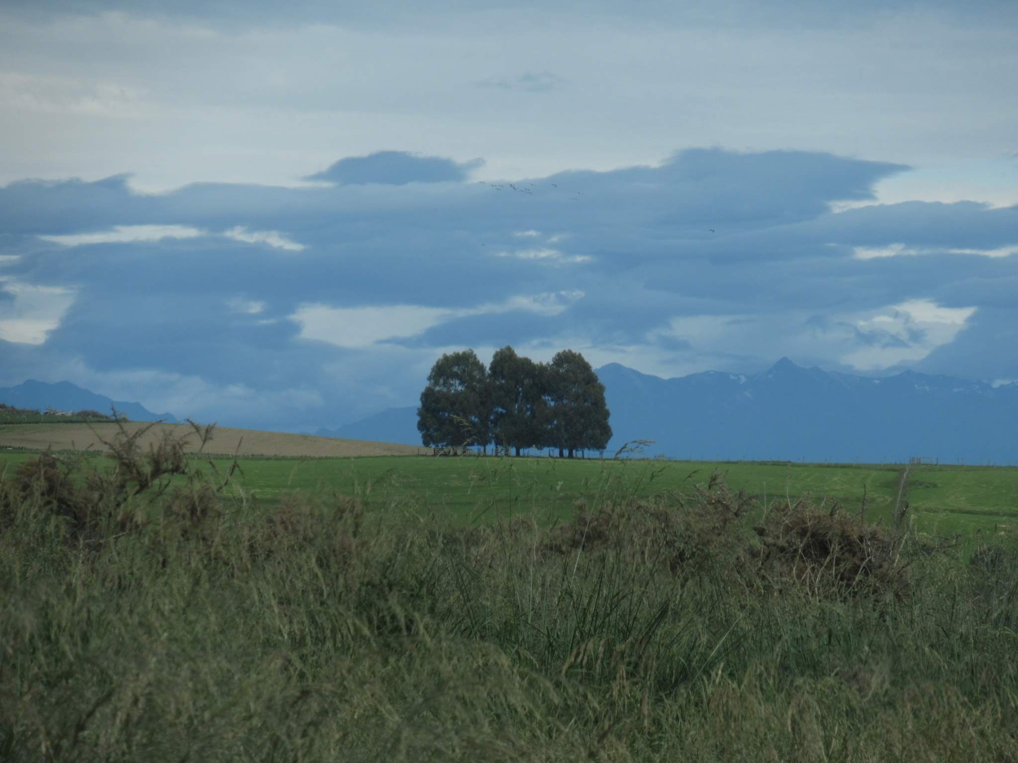 IMG_4133